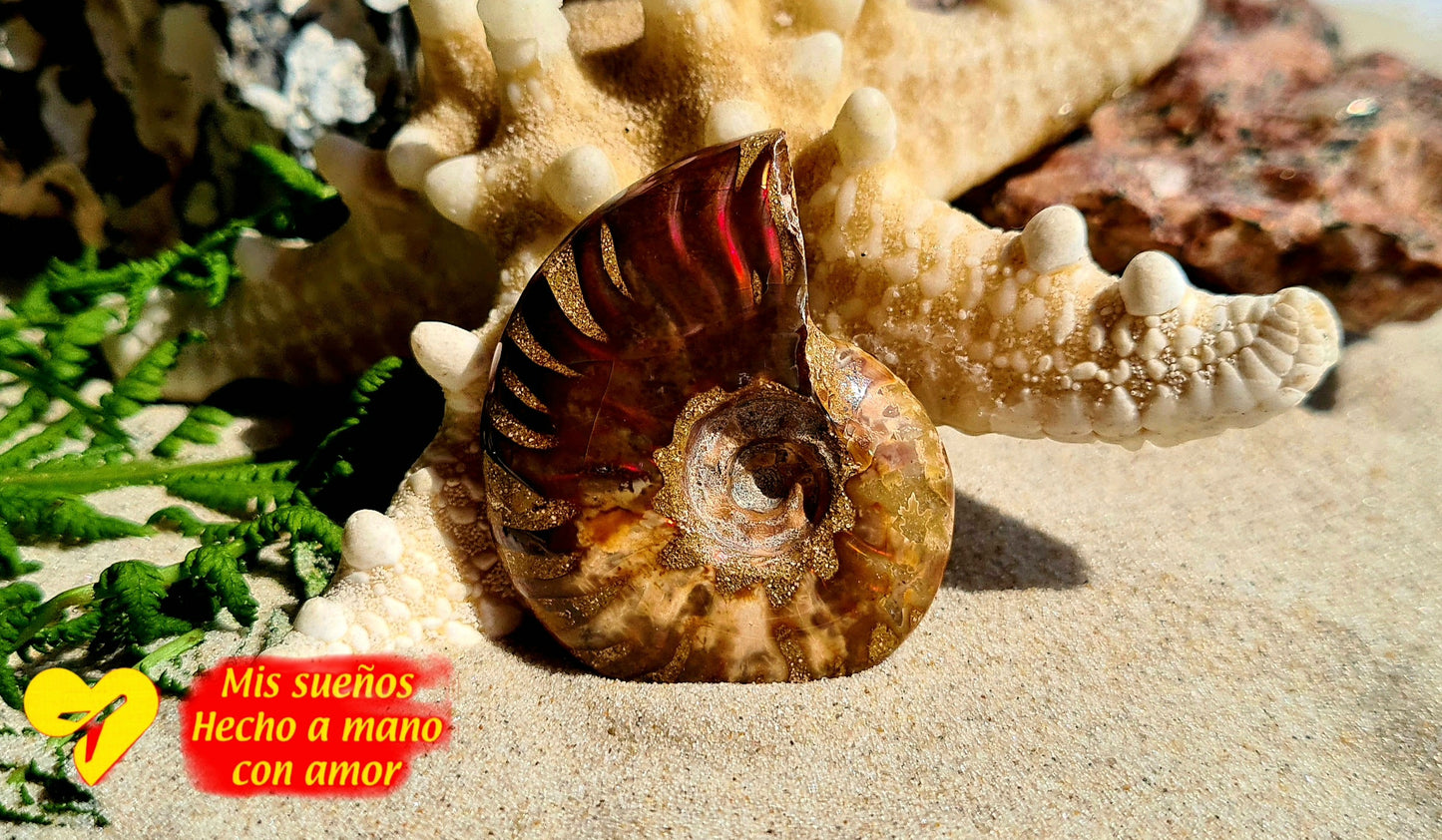 Ammonit Rot irisierend