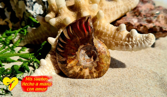 Ammonit Rot irisierend