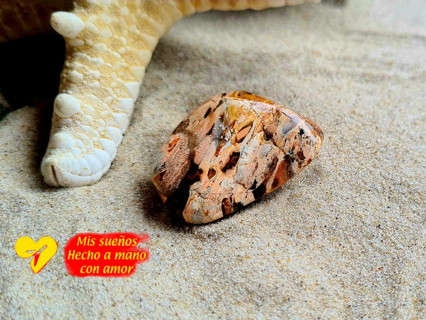 Versteinertes Holz